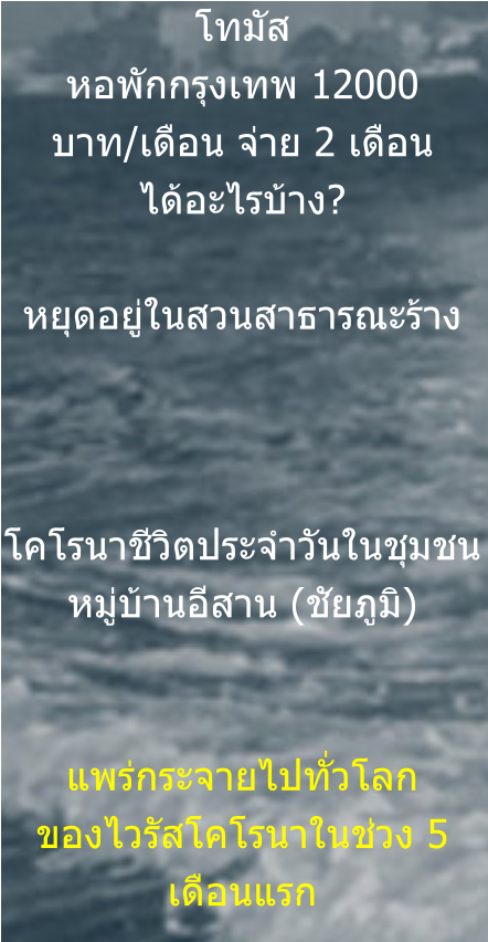 โทมัส หอพักกรุงเทพ 12000 บาท/เดือน จ่าย 2 เดือน ได้อะไรบ้าง?  หยุดอยู่ในสวนสาธารณะร้าง    โคโรนาชีวิตประจำวันในชุมชนหมู่บ้านอีสาน (ชัยภูมิ)   แพร่กระจายไปทั่วโลก ของไวรัสโคโรนาในช่วง 5 เดือนแรก