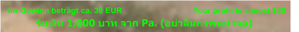 Ihr Gewinn beträgt ca. 30 EUR                                Your profit is almost $30                   รับเงิน 1,000 บาท จาก Pa. (อย่าลืมภาพหน้าจอ)