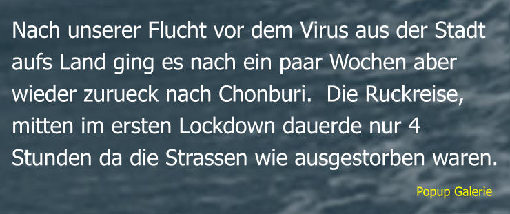 Popup Galerie Nach unserer Flucht vor dem Virus aus der Stadt aufs Land ging es nach ein paar Wochen aber wieder zurueck nach Chonburi.  Die Ruckreise,  mitten im ersten Lockdown dauerde nur 4 Stunden da die Strassen wie ausgestorben waren.