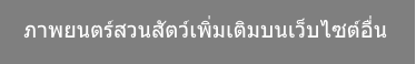 ภาพยนตร์สวนสัตว์เพิ่มเติมบนเว็บไซต์อื่น