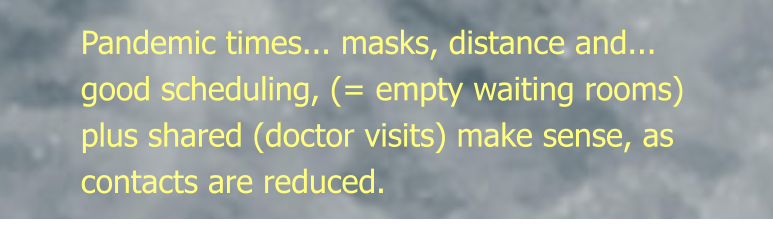 Pandemic times... masks, distance and... good scheduling, (= empty waiting rooms) plus shared (doctor visits) make sense, as contacts are reduced.