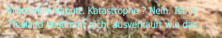 Mikrowelle kaputt. Katastrophe ? Nein. Ist in Thailand bestimmt nicht ausverkauft wie das …