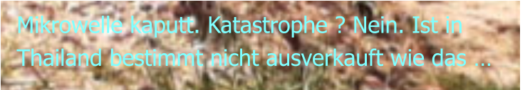 Mikrowelle kaputt. Katastrophe ? Nein. Ist in Thailand bestimmt nicht ausverkauft wie das …