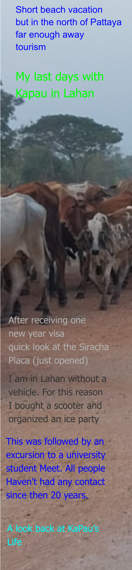 My last days with Kapau in Lahan Short beach vacation but in the north of Pattaya far enough away tourism After receiving one new year visa quick look at the Siracha Placa (just opened)  I am in Lahan without a  vehicle. For this reason I bought a scooter and organized an ice party This was followed by an  excursion to a university  student Meet. All people Haven't had any contact  since then 20 years. A look back at KaPau’s Life