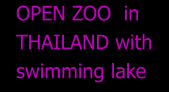 OPEN ZOO  in THAILAND with swimming lake