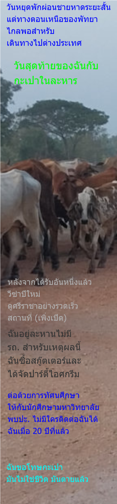 วันสุดท้ายของฉันกับ กะเปาในละหาร วันหยุดพักผ่อนชายหาดระยะสั้น แต่ทางตอนเหนือของพัทยา ไกลพอสำหรับ เดินทางไปต่างประเทศ หลังจากได้รับอันหนึ่งแล้ว วีซ่าปีใหม่ ดูศรีราชาอย่างรวดเร็ว สถานที่ (เพิ่งเปิด) ฉันอยู่ละหานไม่มี รถ. สำหรับเหตุผลนี้ ฉันซื้อสกู๊ตเตอร์และ ได้จัดปาร์ตี้ไอศกรีม ต่อด้วยการทัศนศึกษา ให้กับนักศึกษามหาวิทยาลัย พบปะ. ไม่มีใครติดต่อฉันได้ ฉันเมื่อ 20 ปีที่แล้ว ฉันขอโทษกะเปา มันไม่ใช่ชีวิต มันตายแล้ว