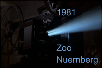 1981   ZooNuernberg