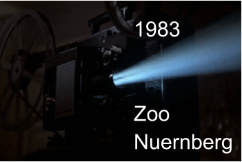 1983   ZooNuernberg