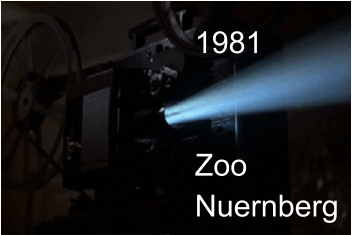 1981   ZooNuernberg