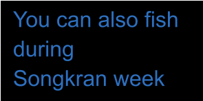 You can also fish  during  Songkran week