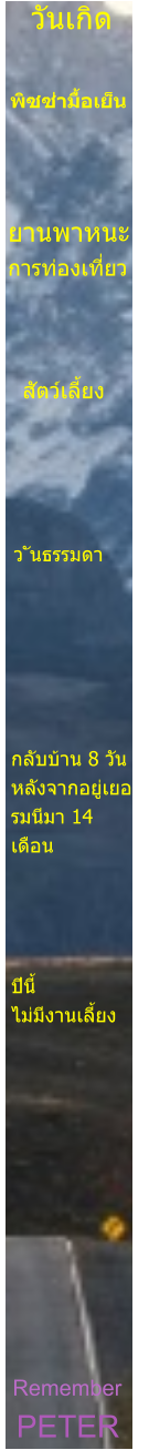 PETER Remember       ปีนี้ ไม่มีงานเลี้ยง กลับบ้าน 8 วัน  หลังจากอยู่เยอ รมนีมา 14  เดือน ว ันธรรมดา สัตว์เลี้ยง ยานพาหนะ การท่องเที่ยว   พิซซ่ามื้อเย็น วันเกิด