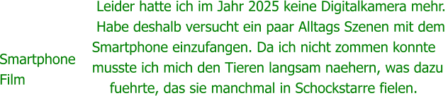 Smartphone Film  Leider hatte ich im Jahr 2025 keine Digitalkamera mehr.  Habe deshalb versucht ein paar Alltags Szenen mit dem Smartphone einzufangen. Da ich nicht zommen konnte musste ich mich den Tieren langsam naehern, was dazu      fuehrte, das sie manchmal in Schockstarre fielen.