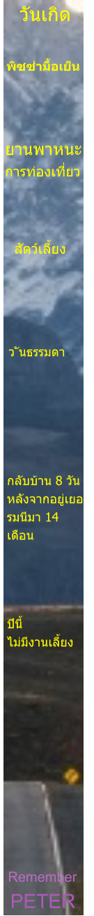PETER Remember       ปีนี้ ไม่มีงานเลี้ยง กลับบ้าน 8 วัน  หลังจากอยู่เยอ รมนีมา 14  เดือน ว ันธรรมดา สัตว์เลี้ยง ยานพาหนะ การท่องเที่ยว   พิซซ่ามื้อเย็น วันเกิด