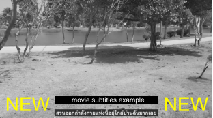 movie subtitles example NEW NEW