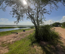 2020 I'm walkimg alone