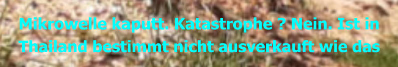 Mikrowelle kaputt. Katastrophe ? Nein. Ist in Thailand bestimmt nicht ausverkauft wie das