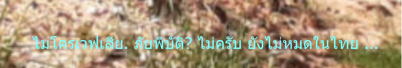 ไมโครเวฟเสีย. ภัยพิบัติ? ไม่ครับ ยังไม่หมดในไทย ...