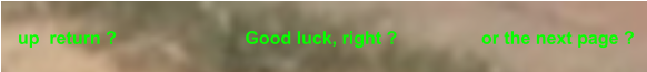 up  return ?                          Good luck, right ?                 or the next page ?