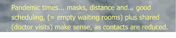 Pandemic times... masks, distance and... good scheduling, (= empty waiting rooms) plus shared (doctor visits) make sense, as contacts are reduced.
