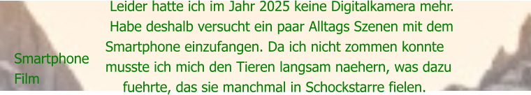 Smartphone Film  Leider hatte ich im Jahr 2025 keine Digitalkamera mehr.  Habe deshalb versucht ein paar Alltags Szenen mit dem Smartphone einzufangen. Da ich nicht zommen konnte musste ich mich den Tieren langsam naehern, was dazu      fuehrte, das sie manchmal in Schockstarre fielen.