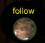 follow